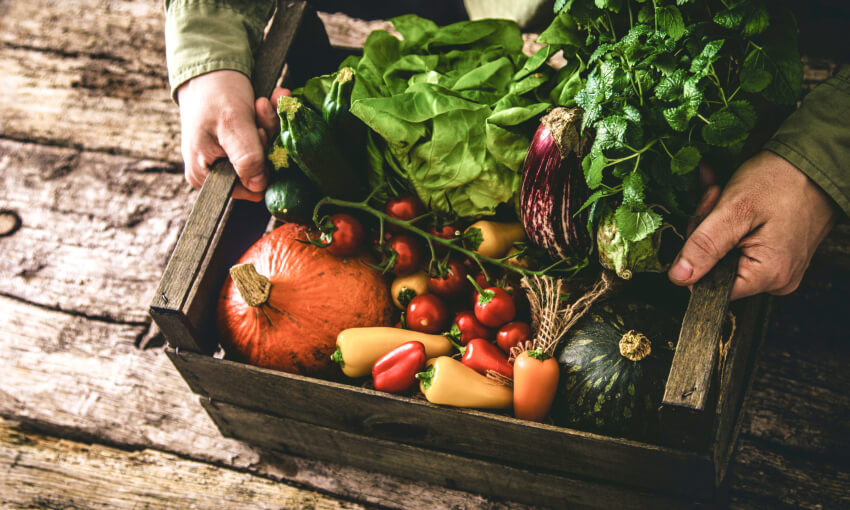 Blue Zone Diet Recipes Dan Buettner Shares His Longevity Diets Lumen